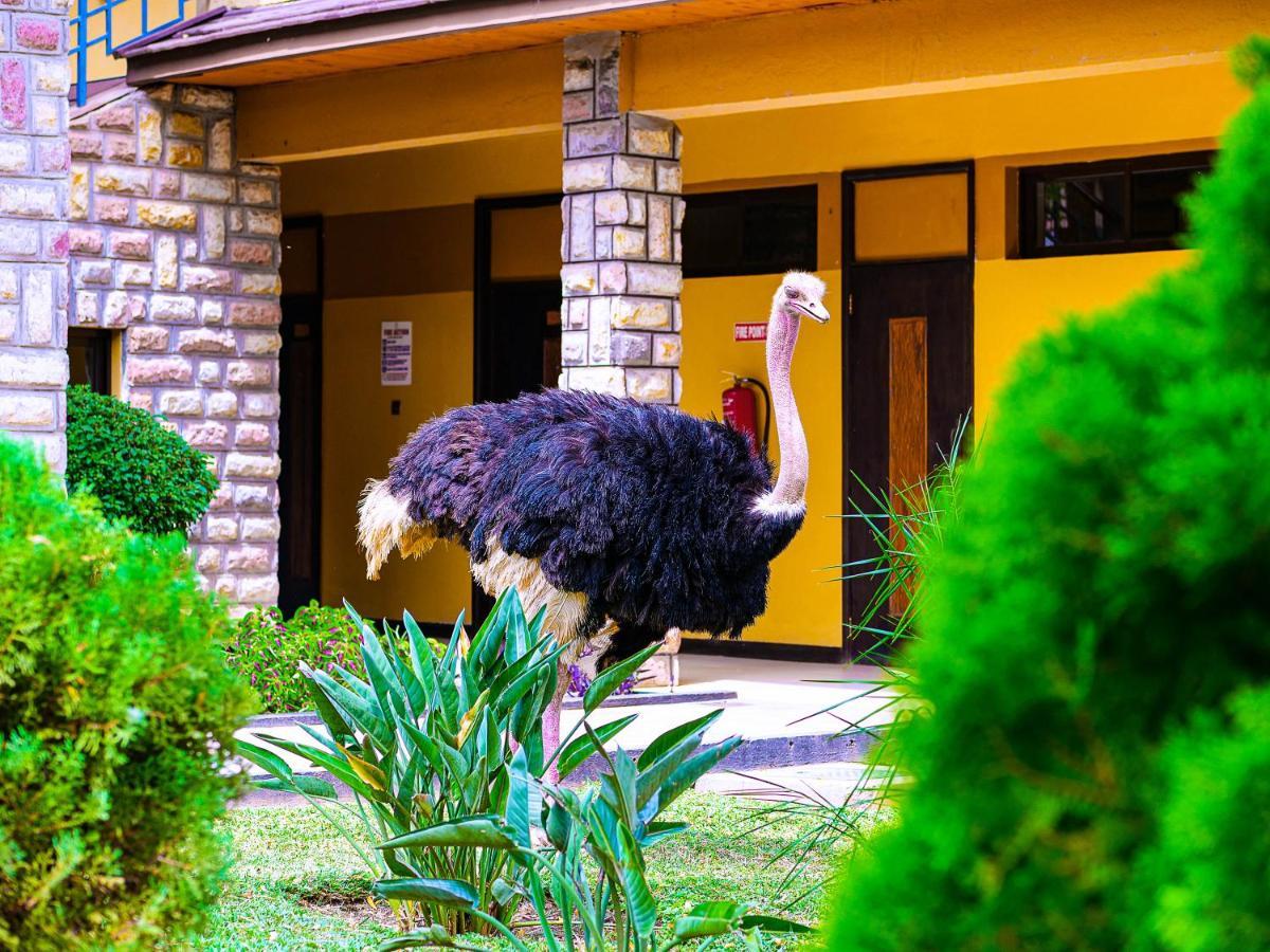 Lake Bogoria Spa Resort Marigat Extérieur photo