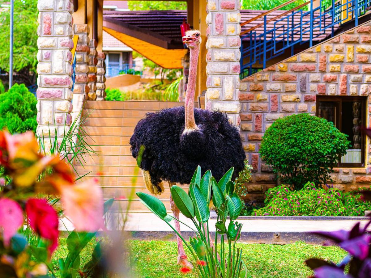 Lake Bogoria Spa Resort Marigat Extérieur photo