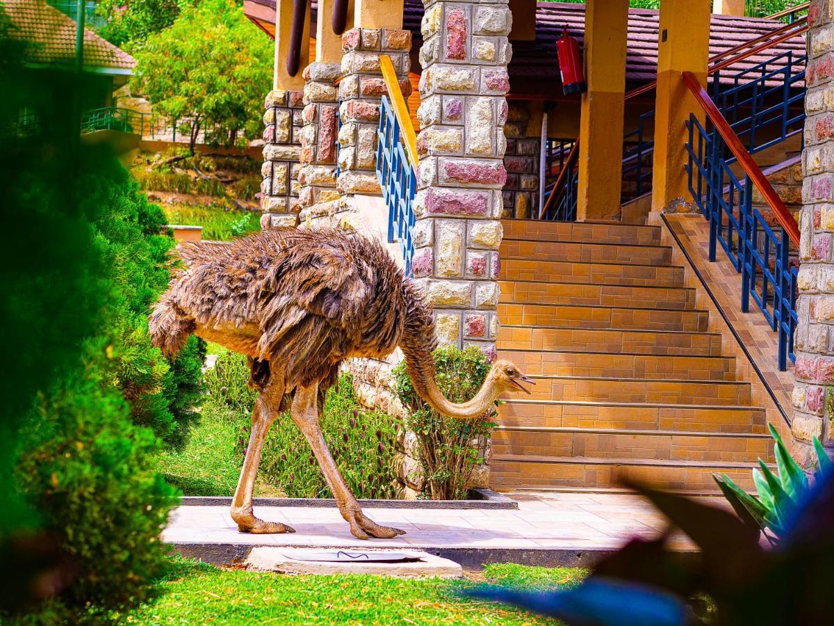 Lake Bogoria Spa Resort Marigat Extérieur photo